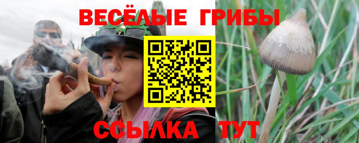 Галлюциногенные грибы ЛСД  купить   Рославль  Вход с VPN 