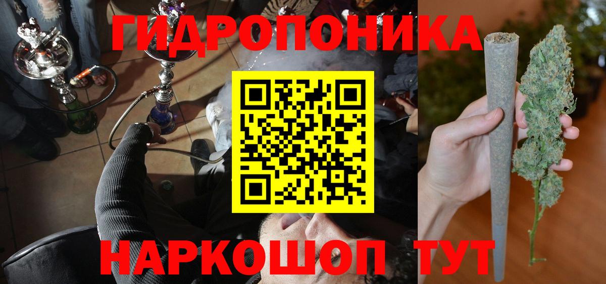 Бошки Шишки планчик Рославль